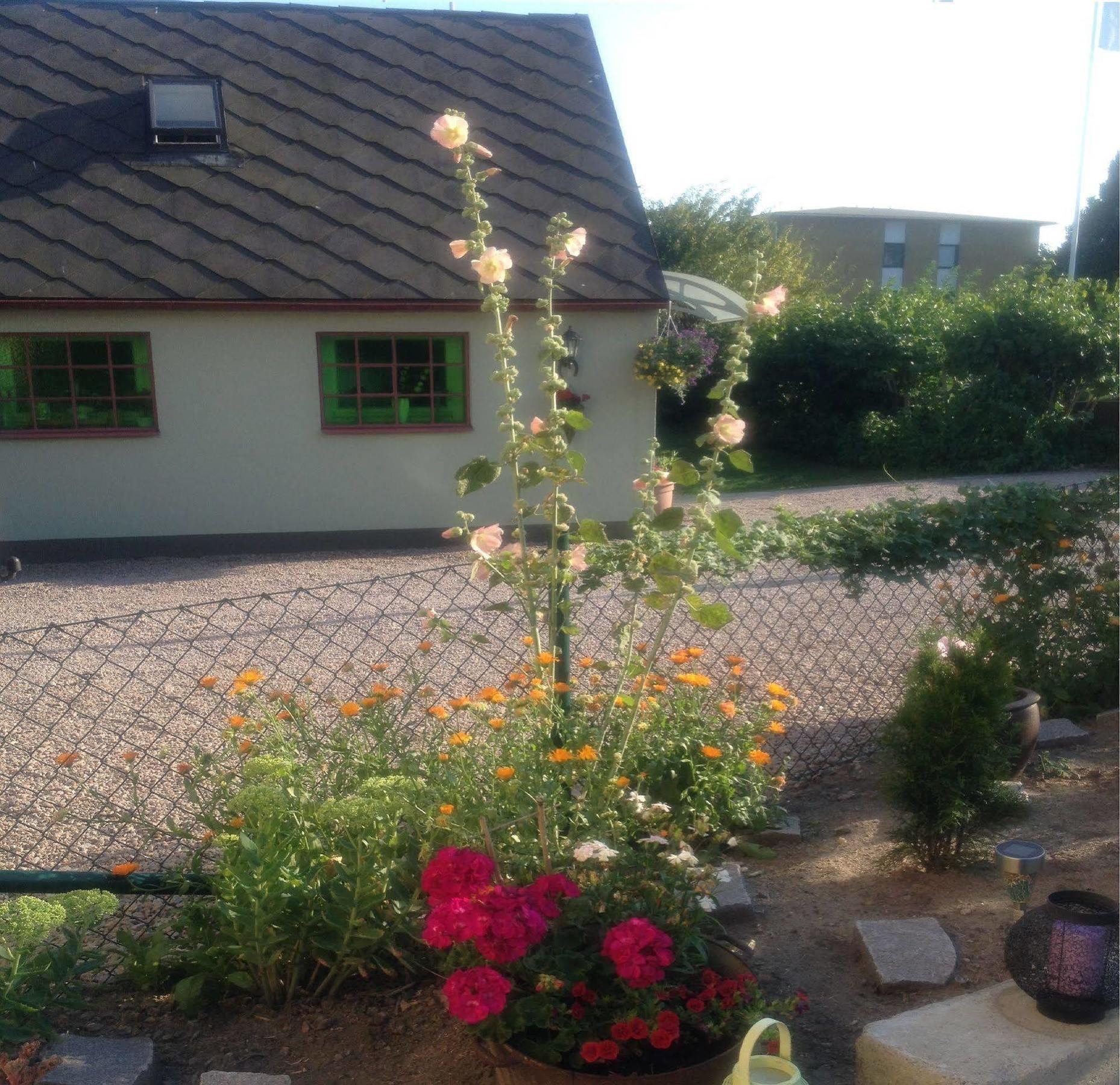Vivans Bed And Self Catering Kristianstad Ngoại thất bức ảnh